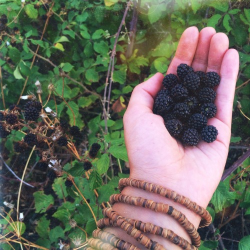 cosmofilius:gimme some of that wild blackberry medicine… 