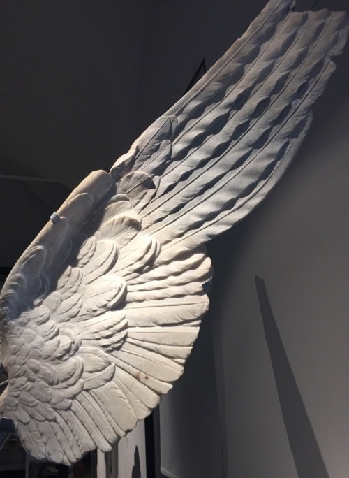 art-mysecondname - Marble wings, Palatine Museum, Roma
