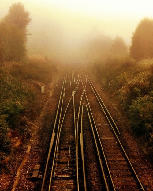 siyahalbatros - Misty Railway