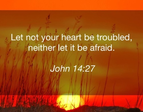 Let not your #heart be #troubled, neither let it be #afraid....