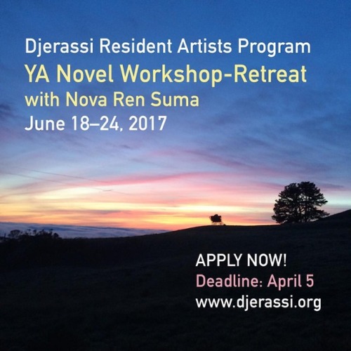 The deadline for my next YA novel workshop approaches. Who will...