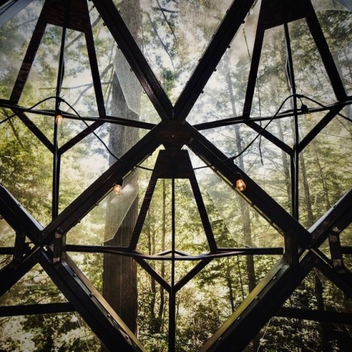 verucas-salty - utwo - The Pinecone Treehouse© o2...