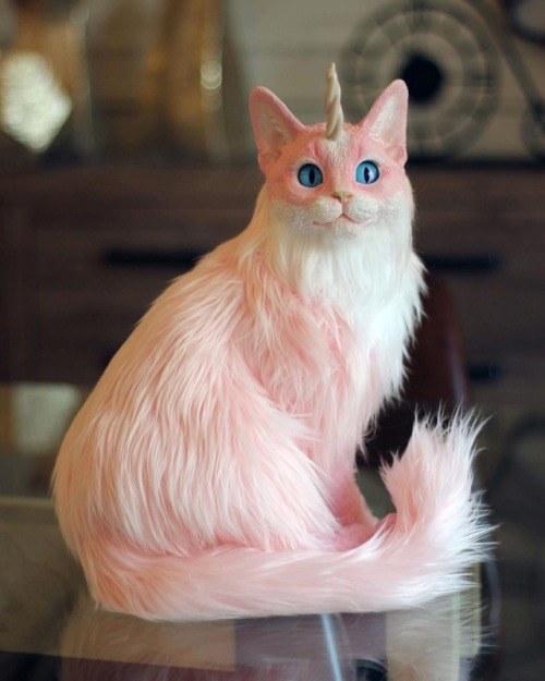 sosuperawesome - Poseable Caticorn Soft Sculpture, by Álvaro...