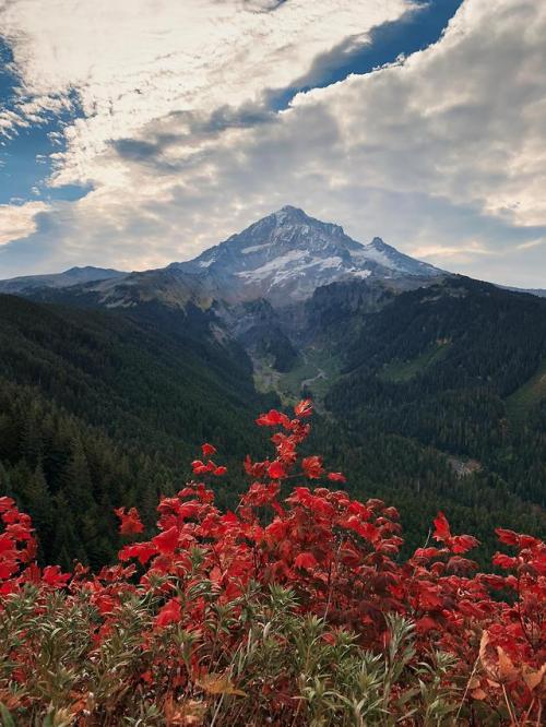 amazinglybeautifulphotography - Red, Green, and Blue - Mt. Hood,...