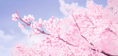 anime sakura trees | Tumblr