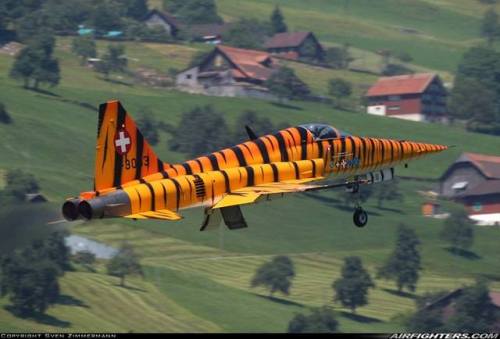 planesawesome - Before things got complicated. The real Tiger.