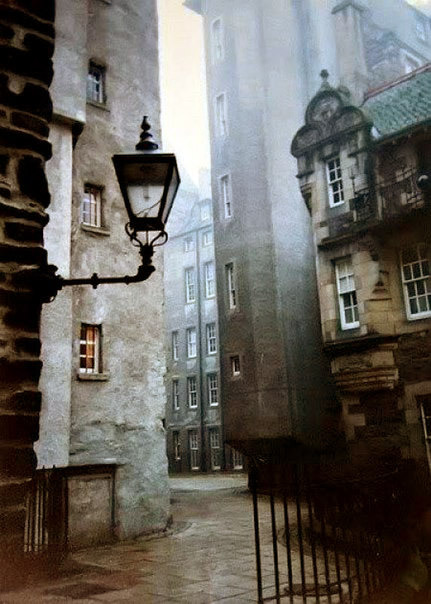 messalinae - Edinburgh, Scotland.  