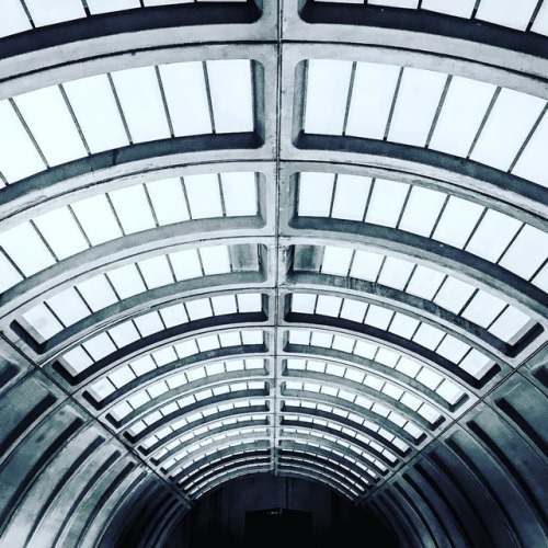 Ceiling Structure (at Smithsonian’s National Zoo and...
