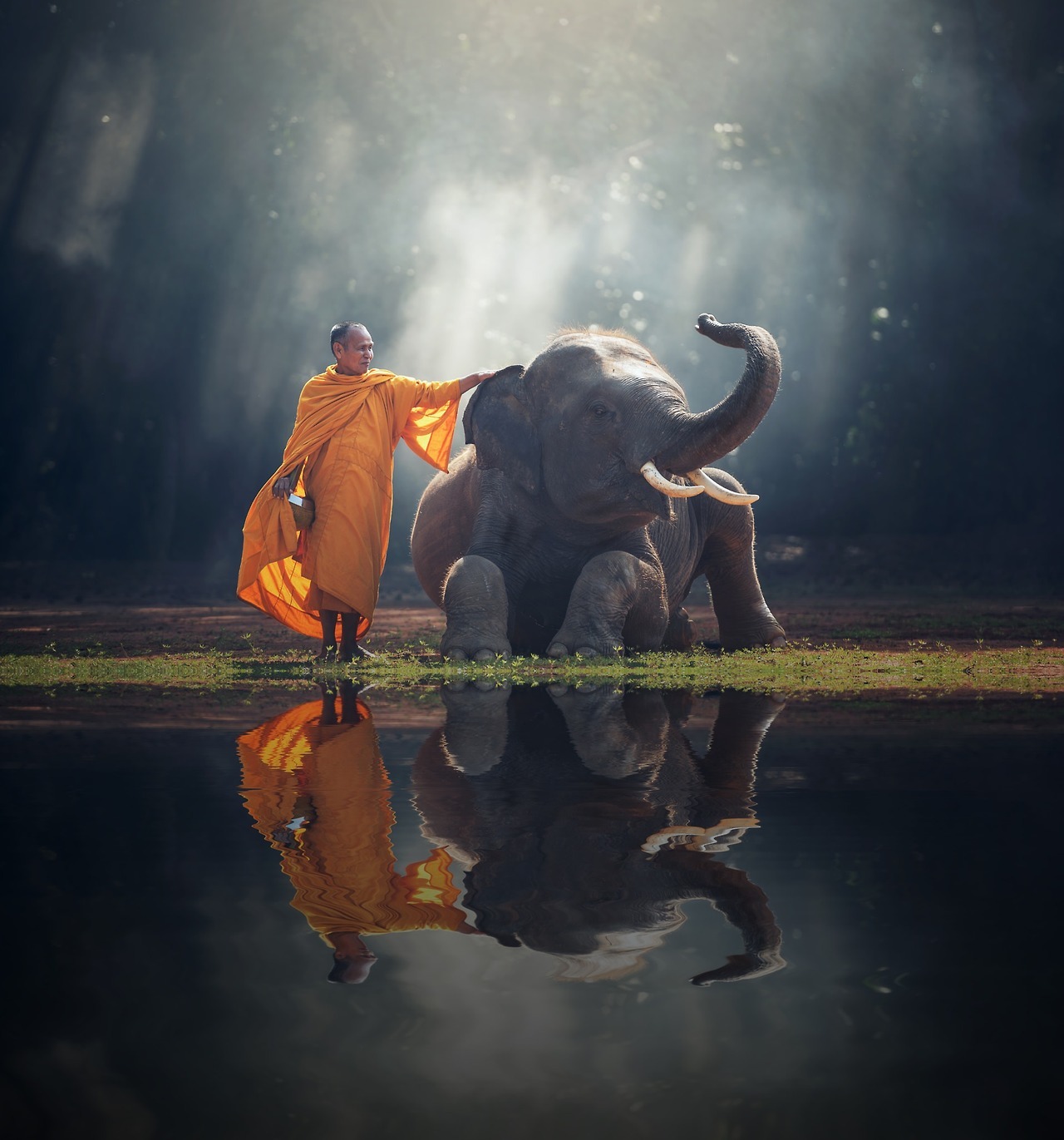 der-schwartzenmann:
â€œ sixpenceee:
â€œA monk and his elephant. Here is the source. Credit to the photographer, Sasin Tipchai, who took this on Oct 24, 2015.
â€
This is truly a blessed image.
â€