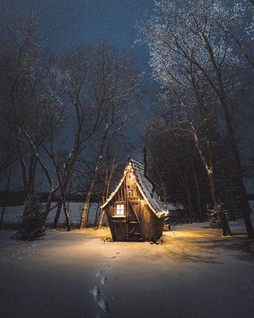 tentree - Who would you stay here with?! A cozy little cabin on...