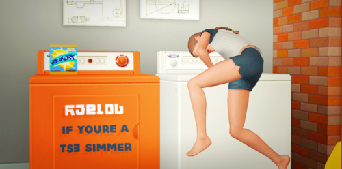 cupidjuice:REBLOG IF YOU’RE A TS3 SIMMERThis is probably the...