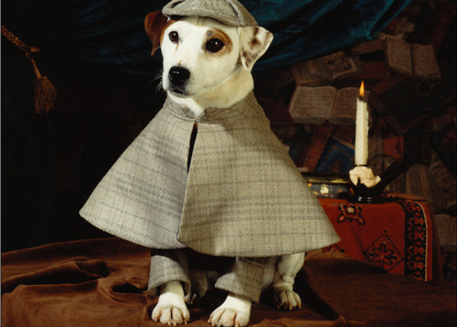 vintagegeekculture - Wishbone was a PBS series about a terrier...