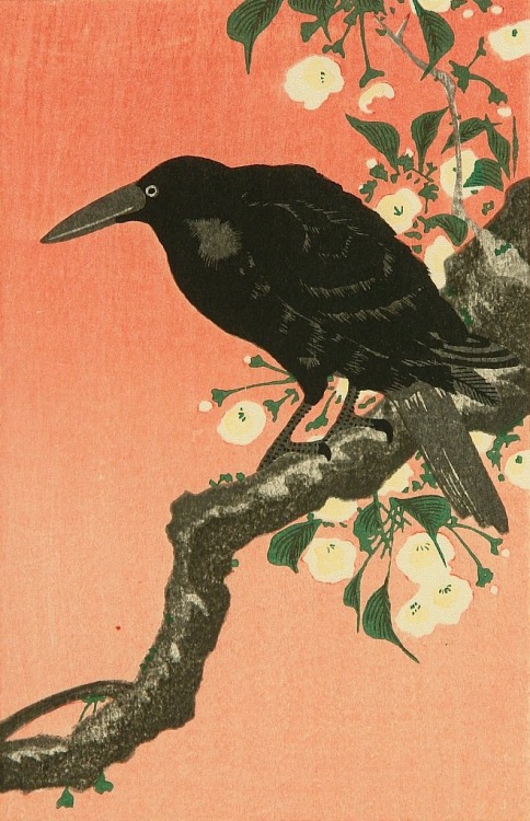 oldpaintings - Crow and Cherry Blossoms by Ohara Koson (Japanese,...