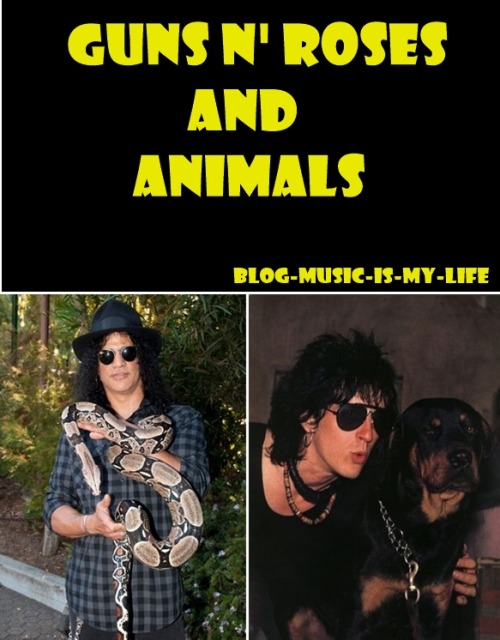 blog-music-is-my-life - Guns N’ Roses and animals