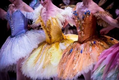 tutu-fangirl - Artists of The Australian Ballet in The Sleeping...