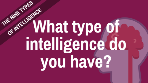 Image result for The nine types of intelligence
