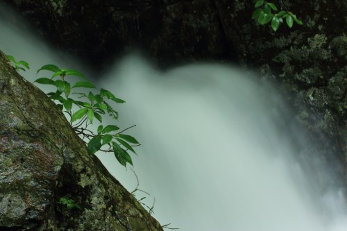 silvercopen - 「花園渓谷2 -The Hanazono Gorge-」Canon EOS 70D TAMRON...