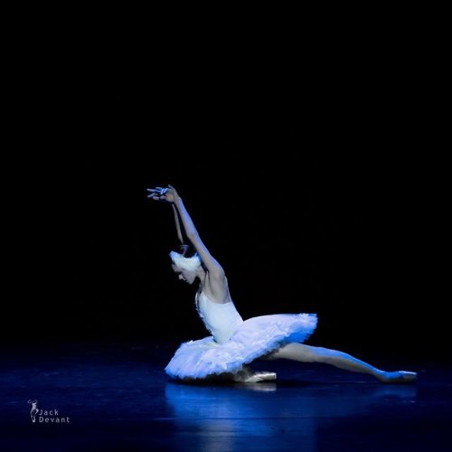 galina-ulanova - Ulyana Lopatkina as the Dying Swan (Mariinsky...