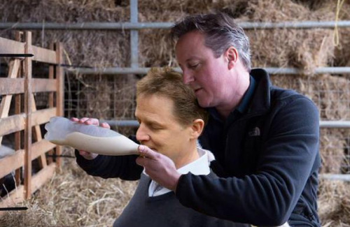 David Cameron lovingly feeds milk to his sweet summer love, Nick...