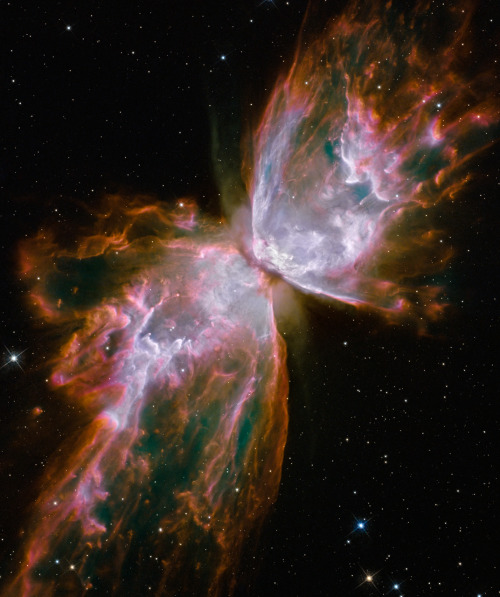 NGC 6302, also called theBug Nebula, Butterfly Nebula, is a...