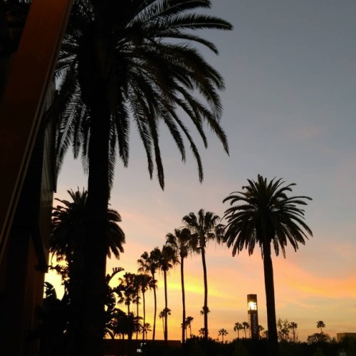 Socal Sunset#ThorsDay (at Tustin, California)