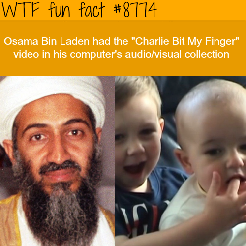 wtf-fun-factss - Facts you never knew about Osama Bin Laden -...