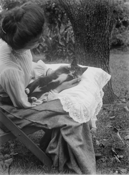 catsofslv - Mrs Batten & Kitten, 1904. Mark James Daniel,...