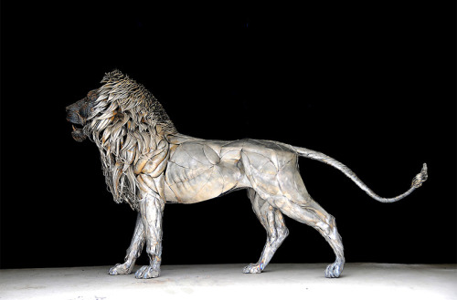 tella1985 - A Lion Made from 4,000 Pieces of Hammered Metal by...