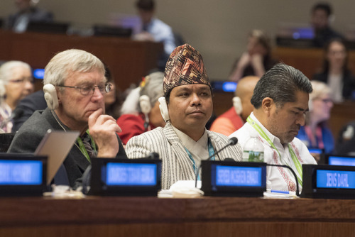 united-nations:The Permanent Forum on Indigenous Issues is now...