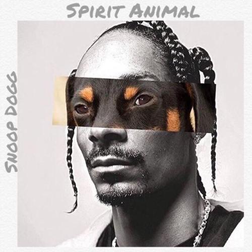 picsthatmakeyougohmm - fake-album-covers - Snoop Dogg - Spirit...