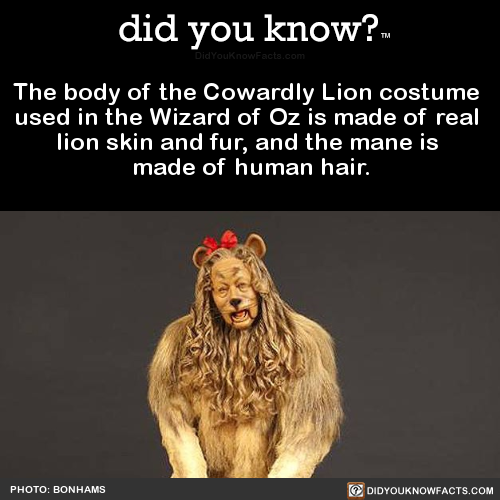 the-body-of-the-cowardly-lion-costume-used-in-the