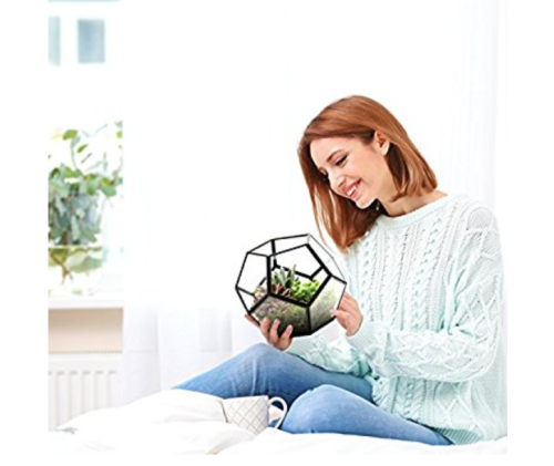 I&rsquo;m looking for a terrarium for my work desk and check out these badly photoshopped images