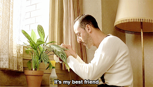 babeimgonnaleaveu - “You love your plant, don’t you?”Léon - The...