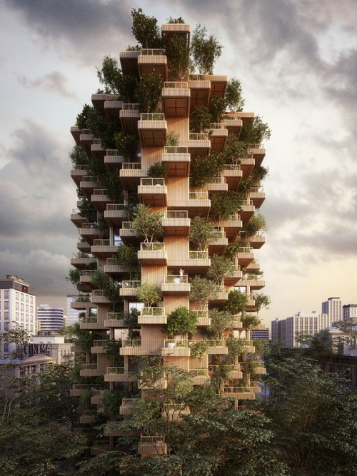 archatlas - Penda proposes Toronto Tree Tower built from...