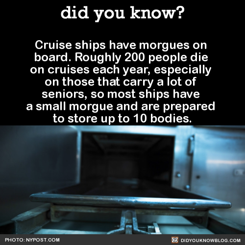 did-you-kno-cruise-ships-have-morgues-on-board