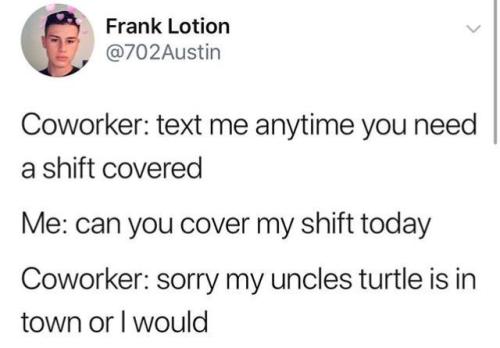 whitepeopletwitter - turtle turtle 