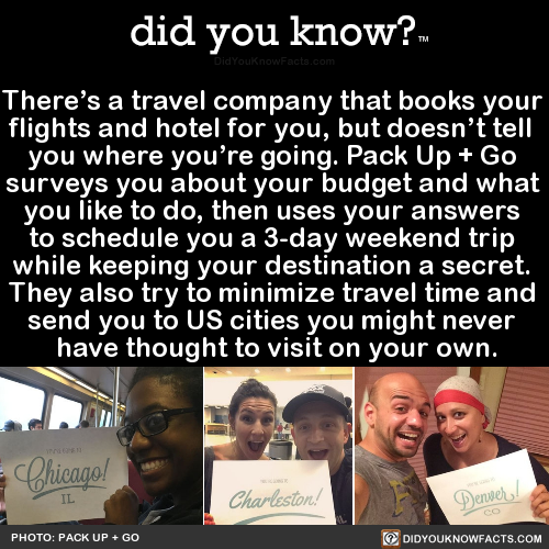 theres-a-travel-company-that-books-your-flights