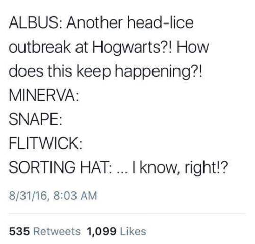 thebestoftumbling - Harry Potter tweets always make me smile.