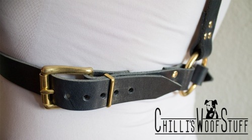 chillis-woof-stuff - Some more pictures of the navy blue harness...
