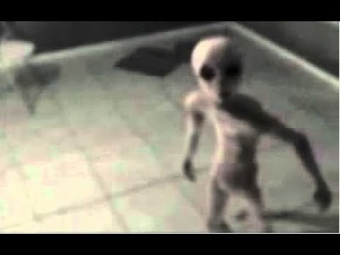 10 Unexplained Alien Paranormal Creatures Caug Conspiracy Theories Images, Photos, Reviews