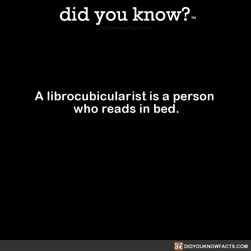 a-librocubicularist-is-a-person-who-reads-in-bed