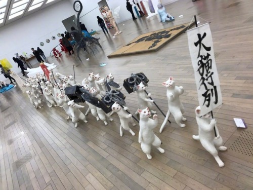 taishou-kun - Sugiyama Airi 杉山愛莉Royal cats procession 大猫行列 -...