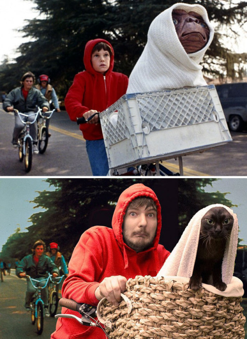 cybergata - (via E.T. The Extra-Terrestrial)  Guy And His Cats...