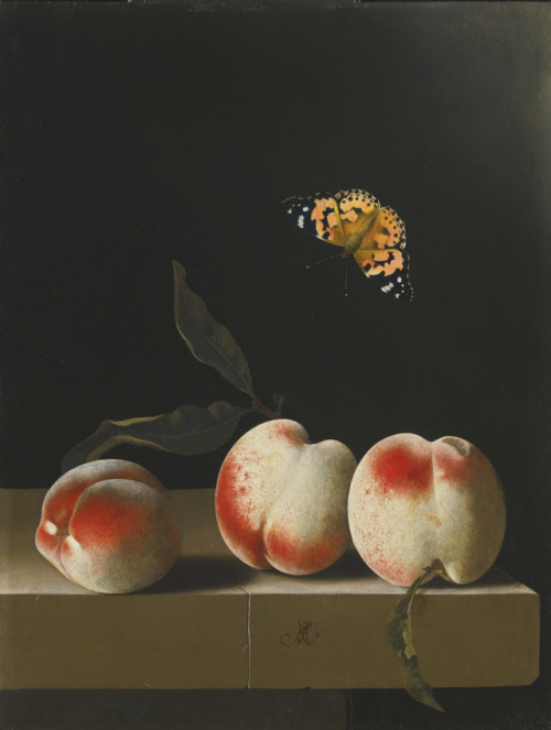 Three Peaches on a Stone Ledge with a Painted Lady Butterfly,...