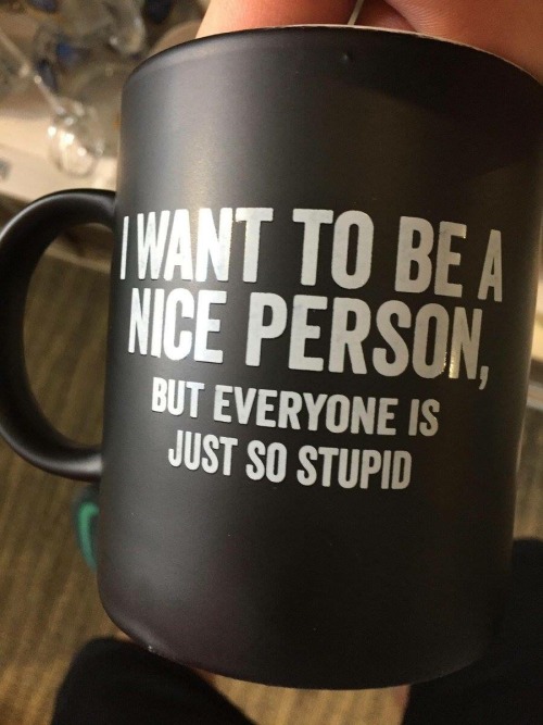 novelty-gift-ideas - I Want to Be a Nice person Mug