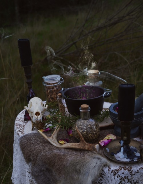 dame-wolf - the magickal herbalist ig - roux.fox***please do not...