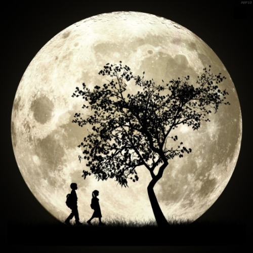 bestof-society6 - Full Moon by Phil PerkinsMore by the...