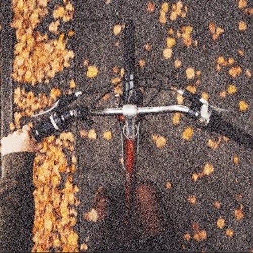 taylorzwift - moodboards - taylor + fall“do you remember the 28th...