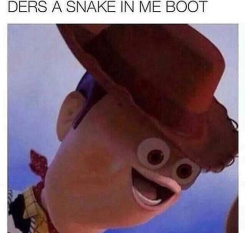 Image result for there's a snake in my boot