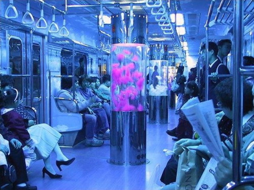 nitrogen:lava lamp on a train in south korea